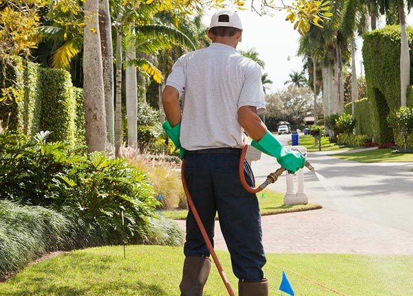 About Raleigh NC Pest Control